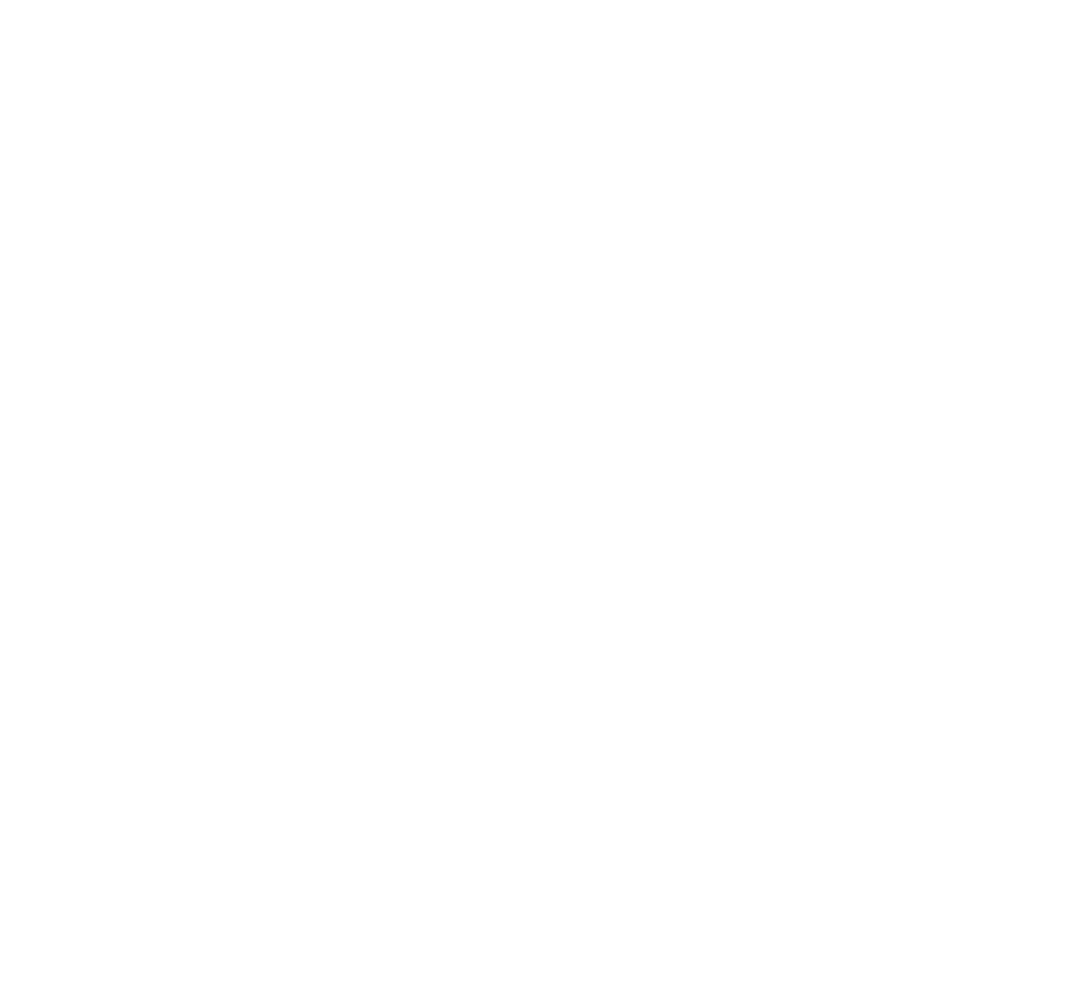 WAVE Logo